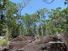 Teluk_Limau_Trek_Bako_National_Park_03