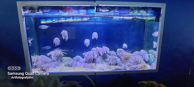 Aquarium Barcelona 2022