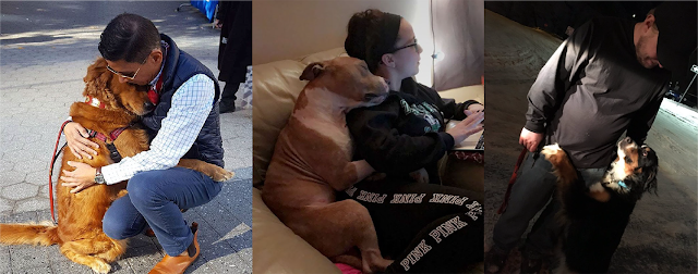 Three dogs hug their humans.