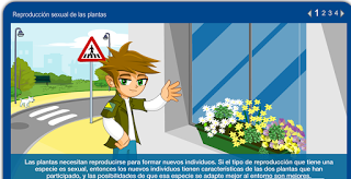 http://repositorio.educa.jccm.es/portal/odes/conocimiento_del_medio/las_plantas/contenido/cm07_oa04_es/index.html