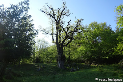 Sant Amand des del balneari de Montagut