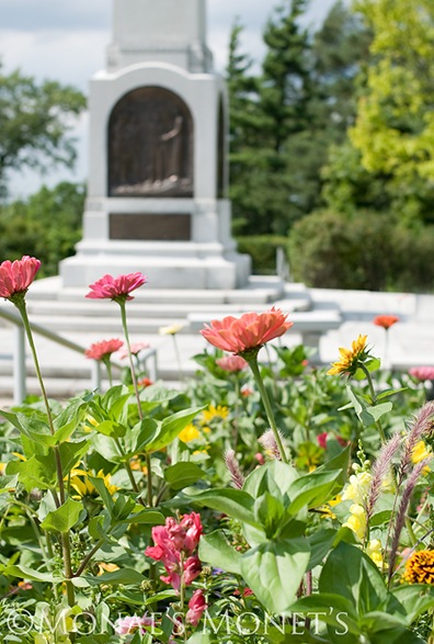 Hill Cumorah flowers blog