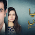 Hum Tv Drama Serial Dil Ka Kya Rung Karun