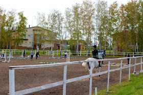 парк, лошади, омск