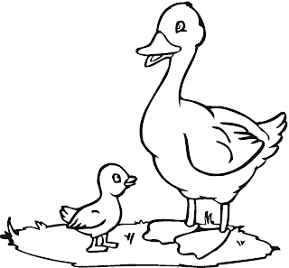 Duck Coloring Pages