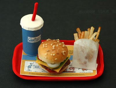 Fast Food Jokes on World S Smallest Fast Food Meal   Damn Cool Pictures