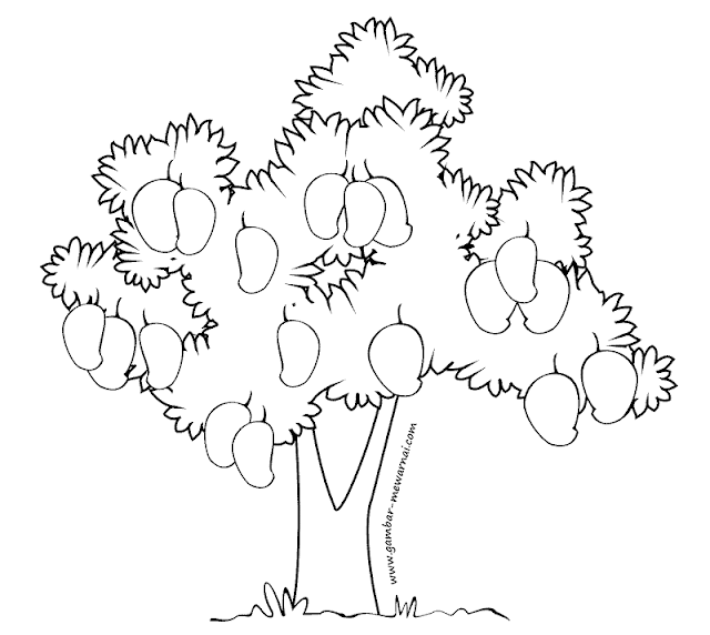 Gambar sketsa pohon mangga mudah