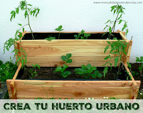 Tutorial para hacer un huerto urbano en mesa de cultivo