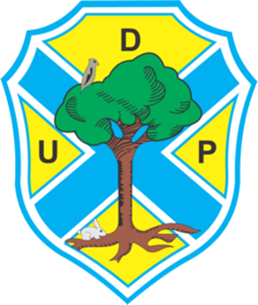 classificação campeonato regional distrital associação futebol guarda 1992 pinhelenses