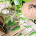 Cửa lưới chống muỗi inox siêu tiện lợi