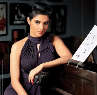 Actress Asin hot in new photoshoot