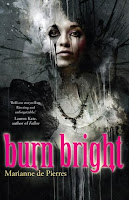 Burn Bright cover