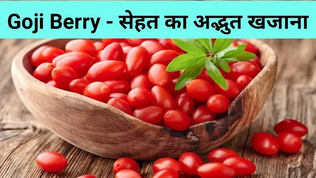 Goji Berry खाने के फायदे हिंदी में। Benefits of eating Goji Berry in Hindi