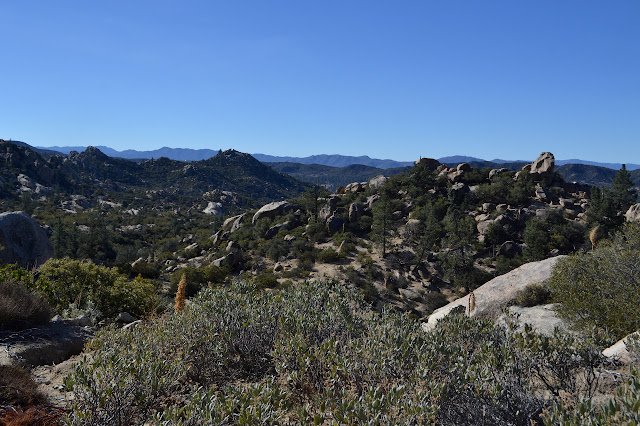 Rock Point and other bits of the landscape