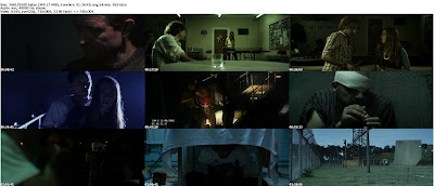 Stormhouse (2011) DVDRip 350MB