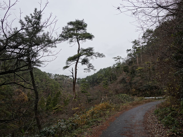 赤松池の脇道を降ります