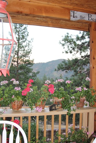 2010-07-23_011