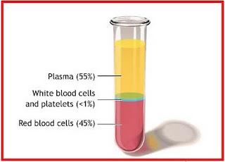 Sharing is Caring~: Plasma darah dan Sel-sel darah