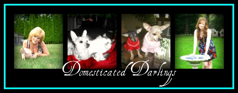 Domesticated Darlings