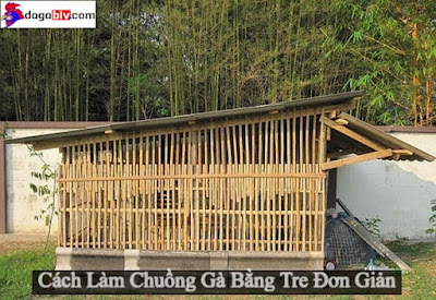 làm chuồng gà bằng lưới