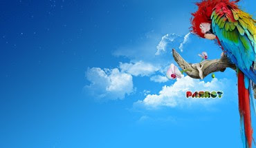 PARROT HD WALLPAPER FREE DOWNLOAD 60