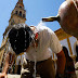 Ola de calor abrasa toda Europa, temperaturas rondan 40 grados