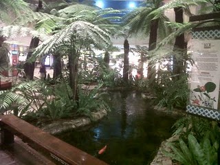 IMG00256-20110829-0149-2011-08-29-10-26.jpg
