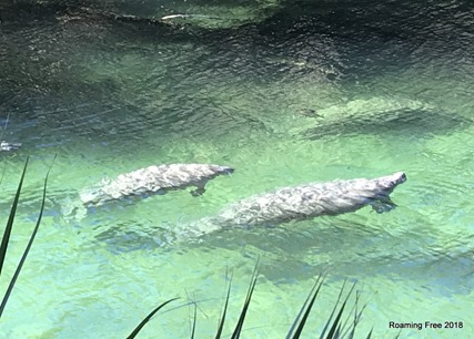 Two coming to the surface