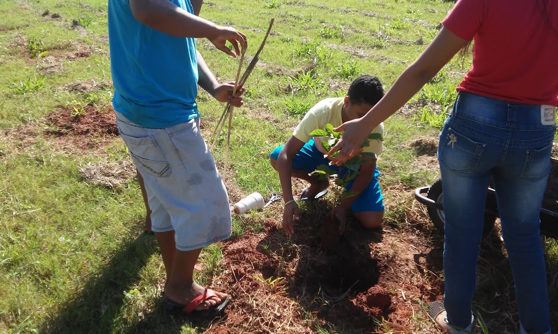 Projeto Revitalização da Escola Orlando.