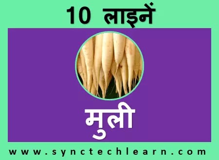 10 lines on radish in hindi