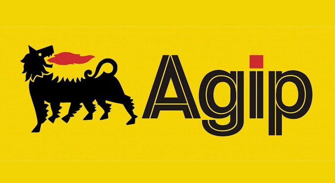 Agip Oil Company Tertiary Scholarship 2017/2018 | How to Apply