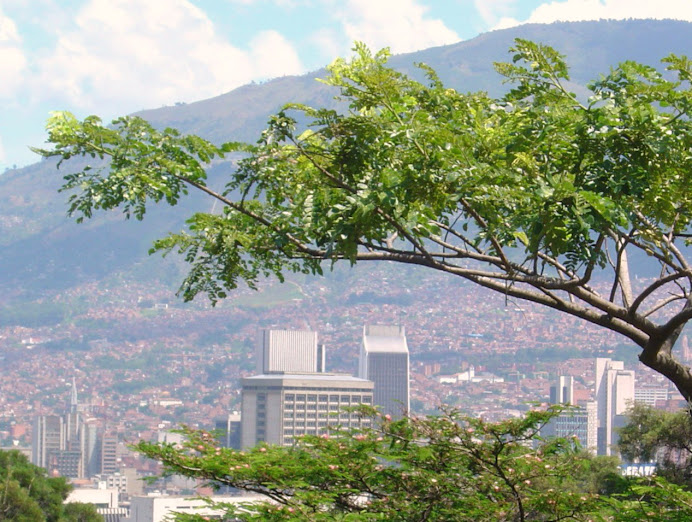 Centro de Medellin