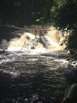 Marshall Falls Guiana