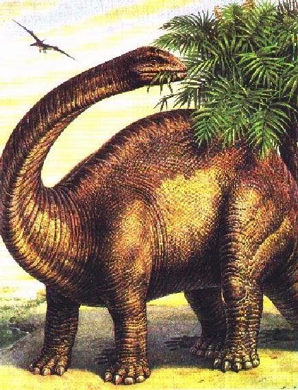  Gambar  Dinosaurus Dunia Binatang