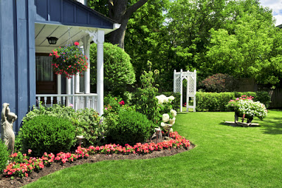 Garden Plants