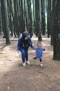 Hutan Pinus Mangunan