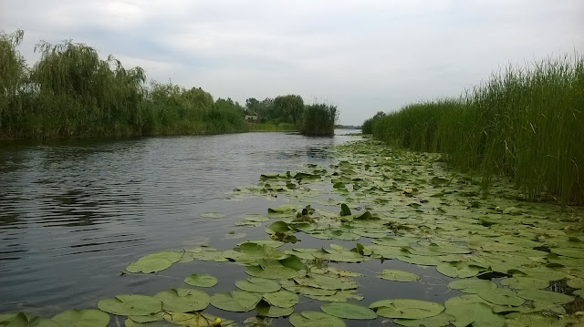 canal sulina sfantu gheorghe delta