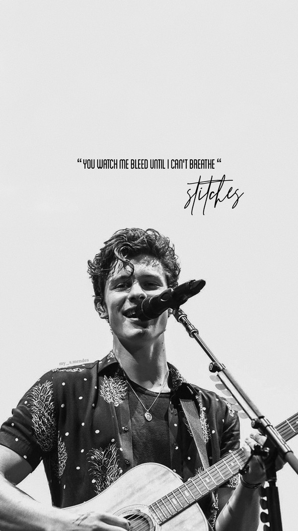 shawn mendes music quotes