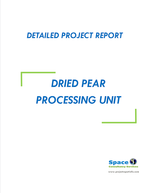 Project Report on Dried Pear Processing Unit