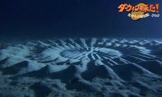 crop circle buatan ikan