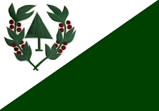 Bandeira de Mata Verde MG