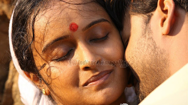 Mallu Malayalam Serial Actress Shalu Menon hot sexy romancing gallery