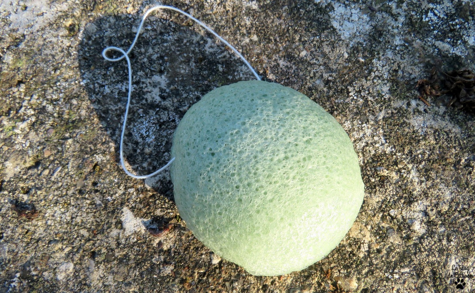 Konjac - Ebelin