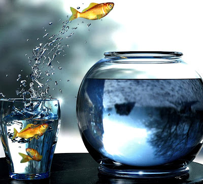 3d goldfish wallpaper. goldfish wallpaper.