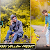 Download Teal And Yellow Lightroom Mobile Preset [NEW PRESET]