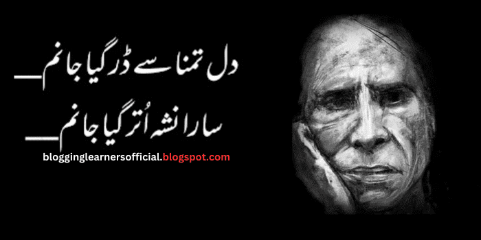 john elia poetry in Urdu | Jaun Elia Best Urdu Poetry in 2 Lines | John Elia Urdu Shayari