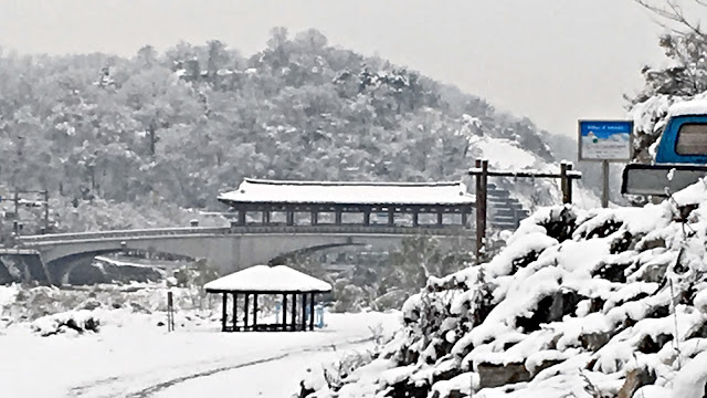 Jeonju Hyanggyo Confucian School (전주향교) | www.meheartseoul.blogspot.sg