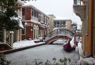 20130115-DSC_0424.JPG