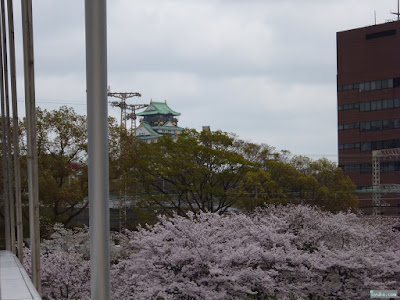 大阪城と桜