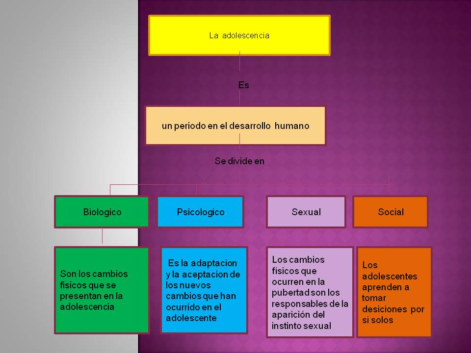 La Adolescencia Mapas Mentales Y Conceptuales